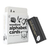 Woodland Alphabet Cards - HoneyBug 