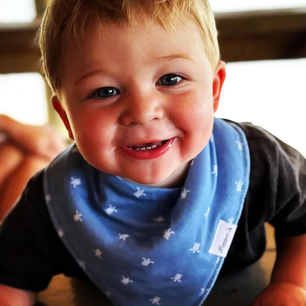 Sealife Wonder Bandana Bibs Collection