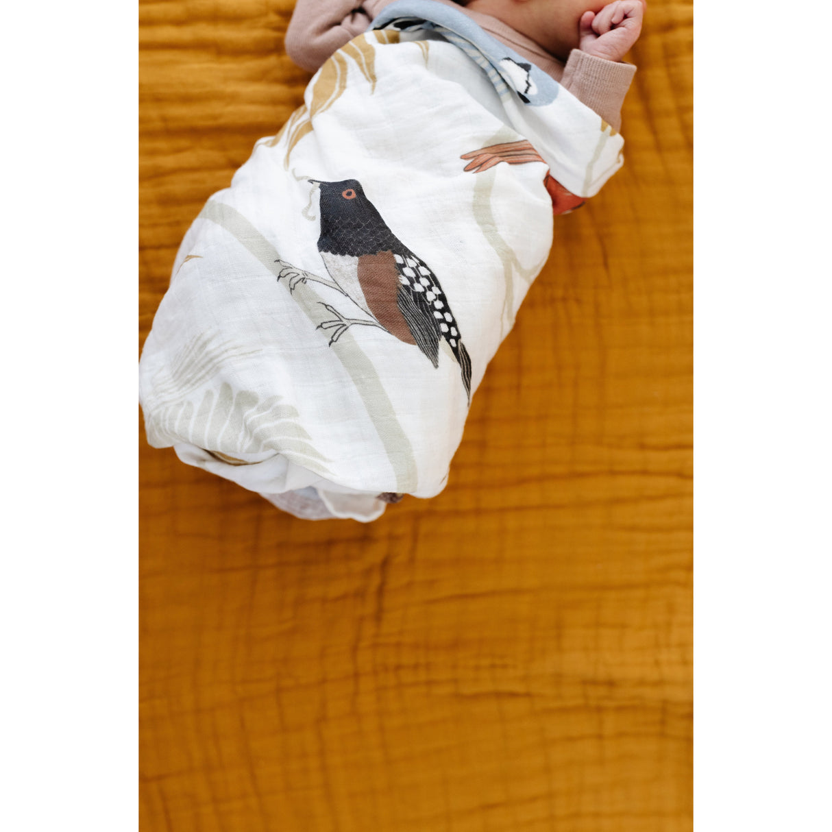 For the Birds Swaddle - HoneyBug 