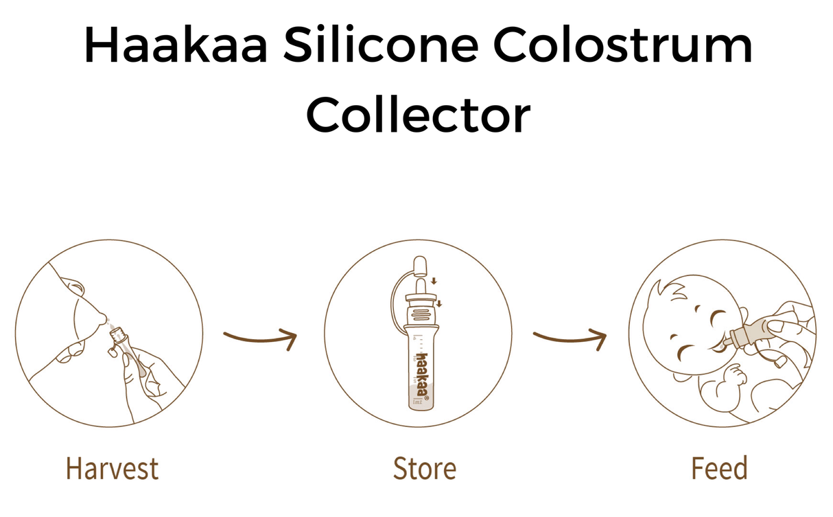 Haakaa Silicone Colostrum Collector Set 4 ml, 6 PK (Pre-Sterilized)