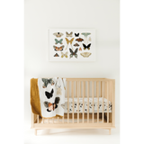 Butterfly Collector Quilt - HoneyBug 