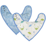 Dinosaur Bib Set