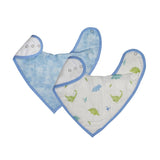 Dinosaur Bib Set