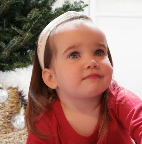 headband | mountain express - HoneyBug 