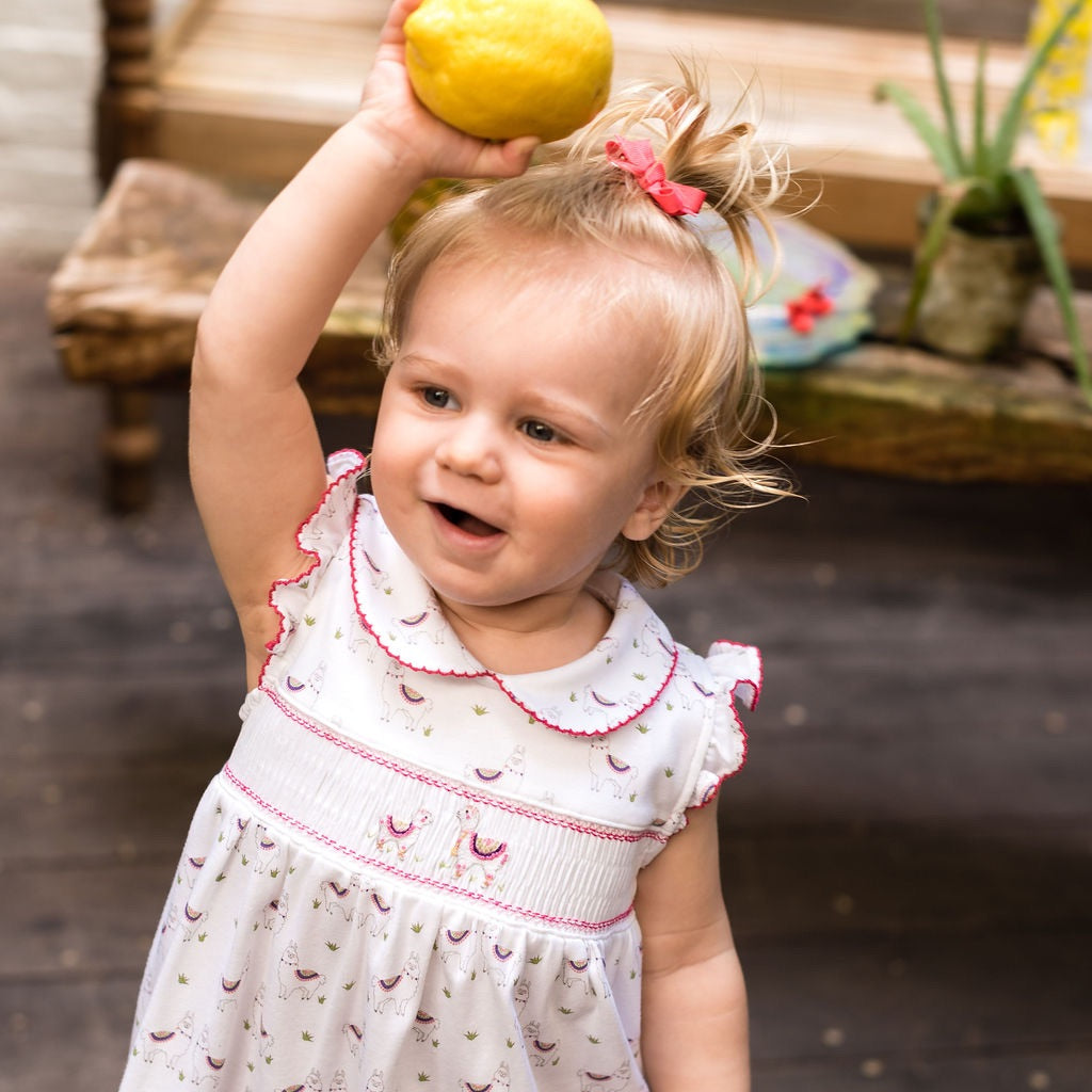 Alex the Alpaca Smocked Dress