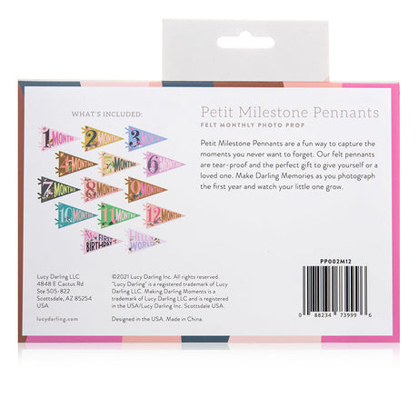 Little Artist Petit Milestone Pennants - HoneyBug 