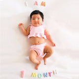 Milestone Felt Numbers in Pastel - HoneyBug 