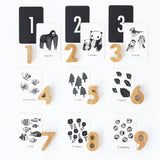 Nature Number Cards - HoneyBug 