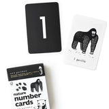 Counting Adventure Bundle - HoneyBug 