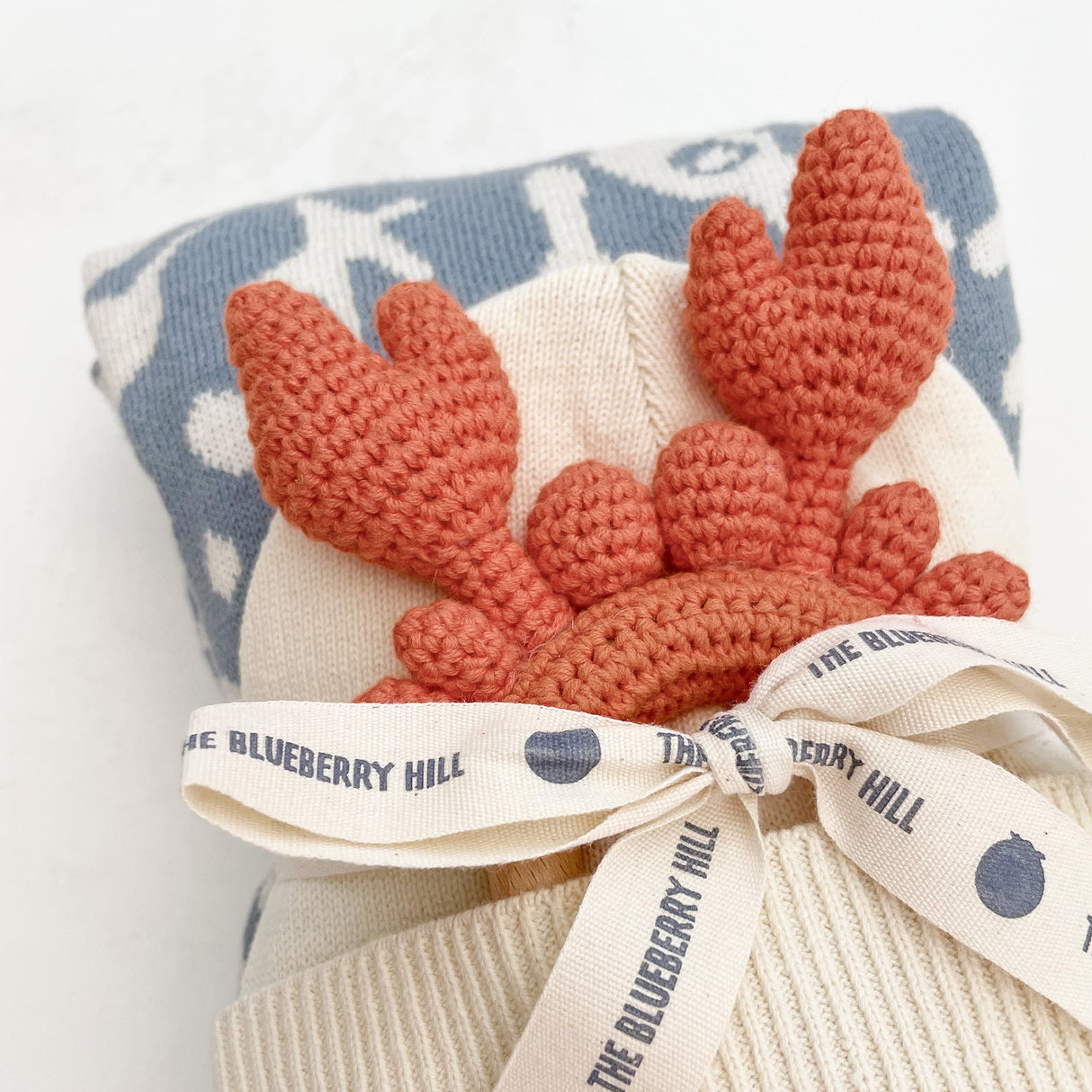 Organic Cotton Blanket Nautical - HoneyBug 