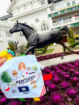 Kentucky State Tag Toy Crinkle Square That Teaches Facts