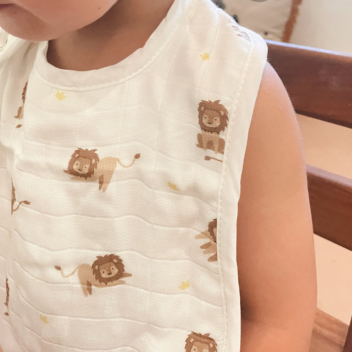 Elephant & Lion Bib Set