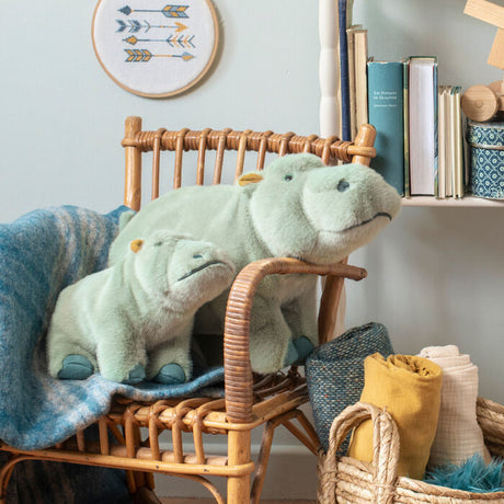 Large Hippopotamus - All Around the World