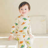 Sleep and Play Pajama Set - Jurassic - HoneyBug 