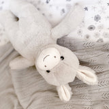 Moses Floppy Donkey Plush Toy - HoneyBug 