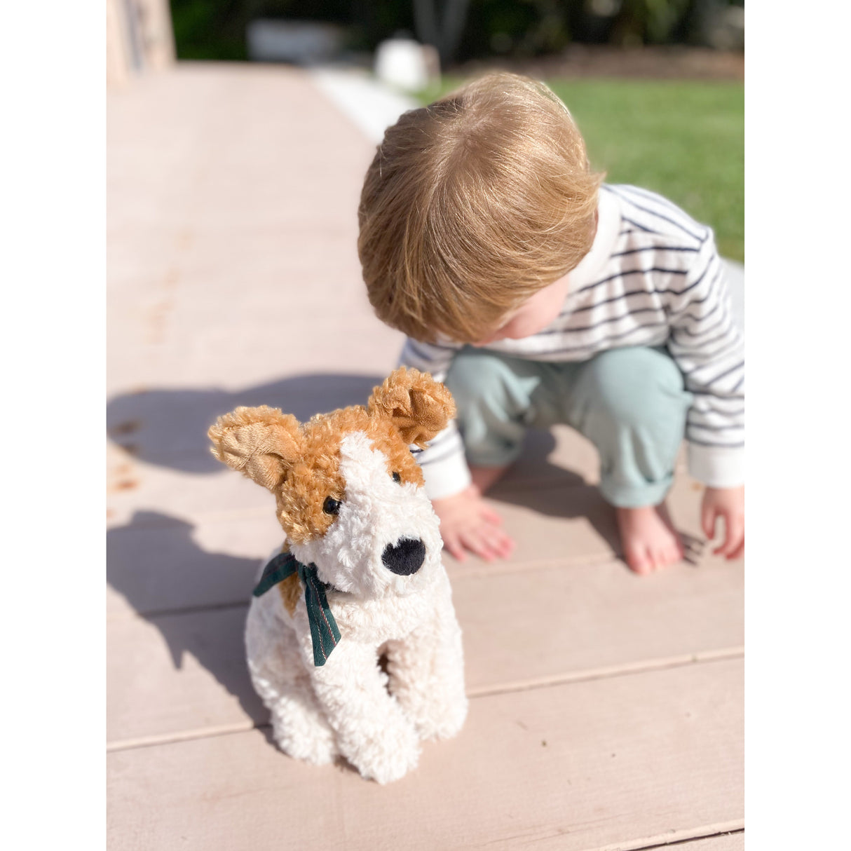 'Jacques' Jack Russell Plush Toy - HoneyBug 