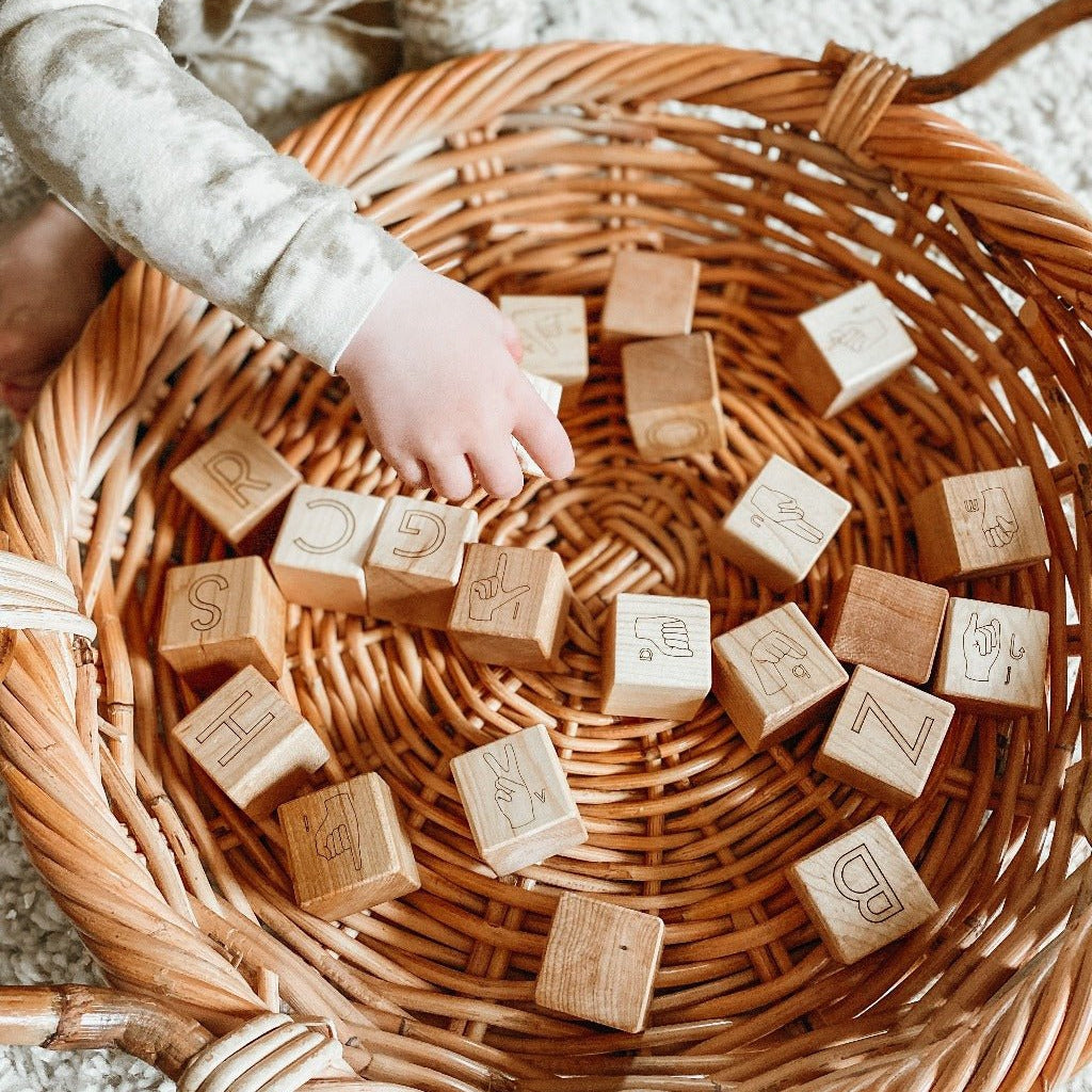 American Sign Language ABC Blocks - HoneyBug 