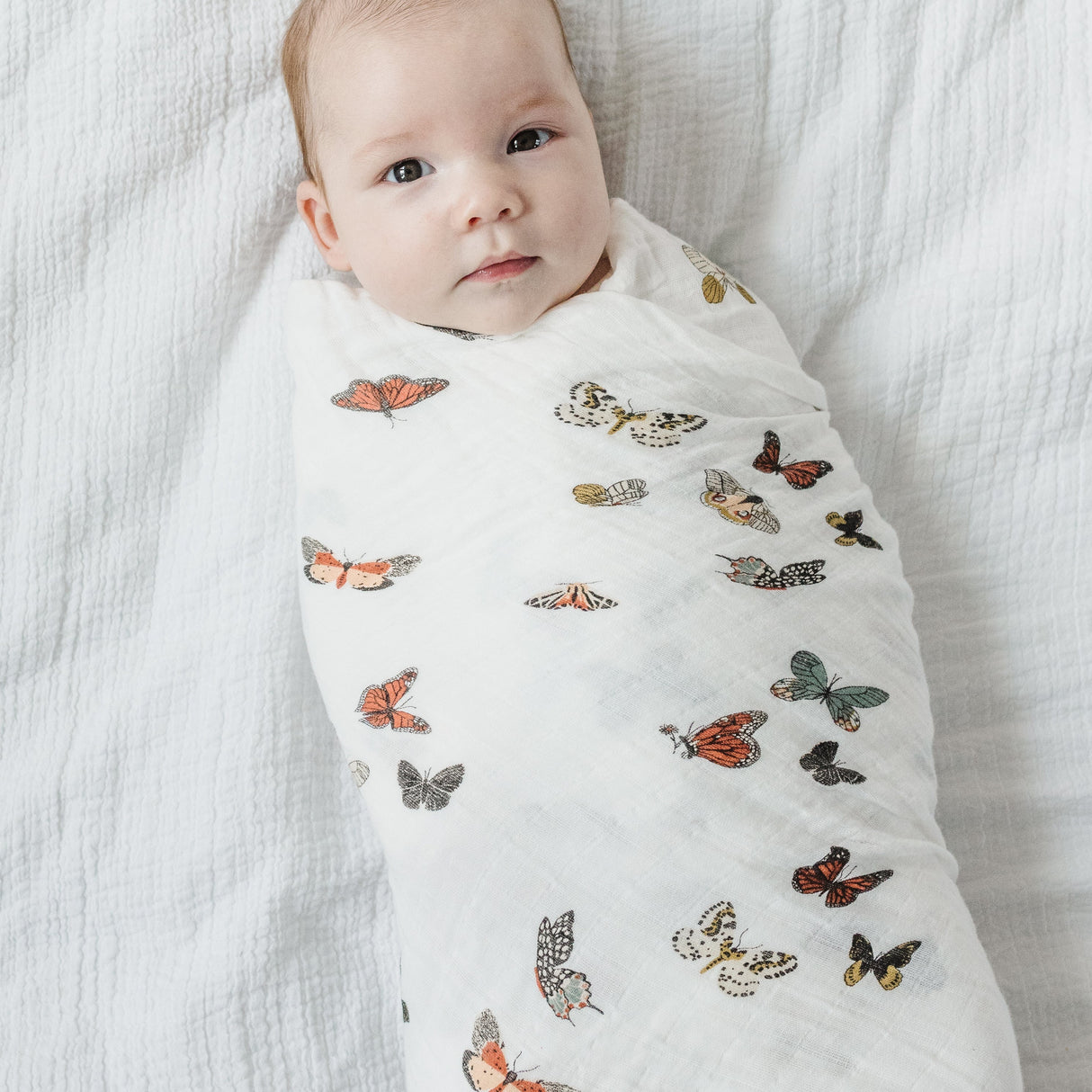 Butterfly Migration Swaddle - HoneyBug 