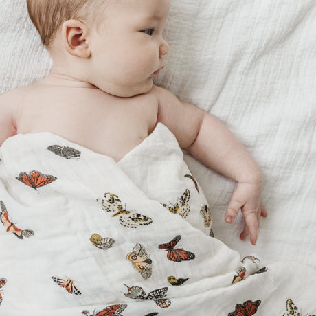 Butterfly Migration Swaddle - HoneyBug 