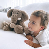 'Oliver' Elephant Plush Toy - HoneyBug 