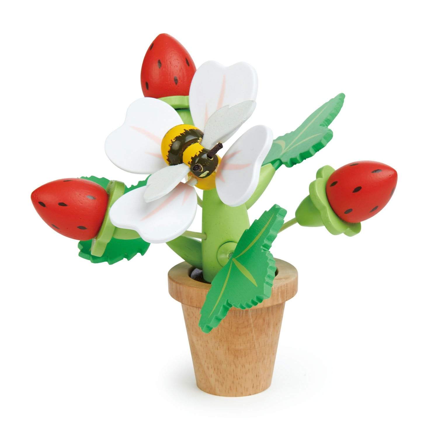 Strawberry Flower Pot - HoneyBug 