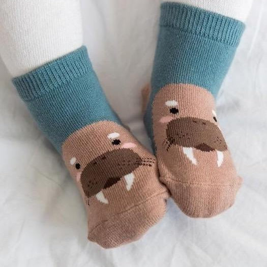 Sea Lion Socks - HoneyBug 